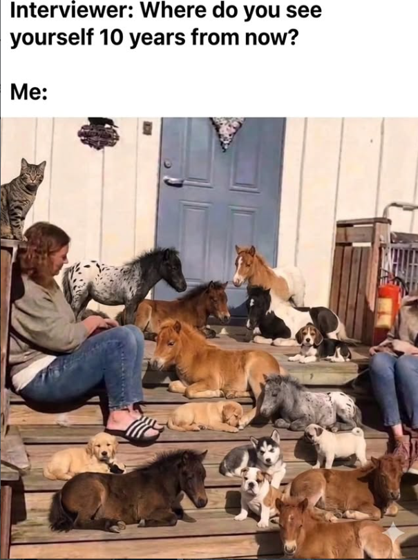 Interviewer: Where do you see yourself 10 years from now? Me: