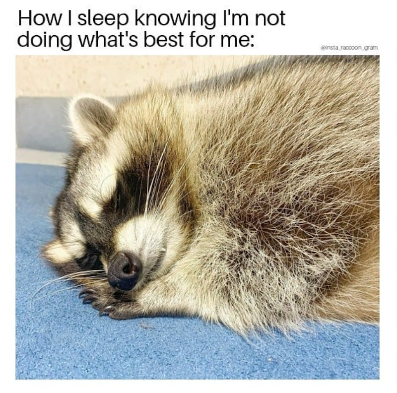 How I sleep knowing I'm not doing what's best for me: @insta_raccoon_gram
