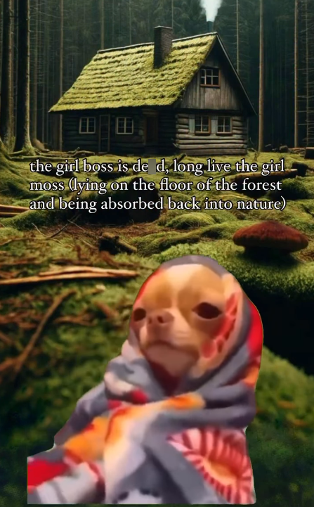 the girl boss is de d, long live the girl moss (lying on the floor of the forest and being absorbed back into nature)