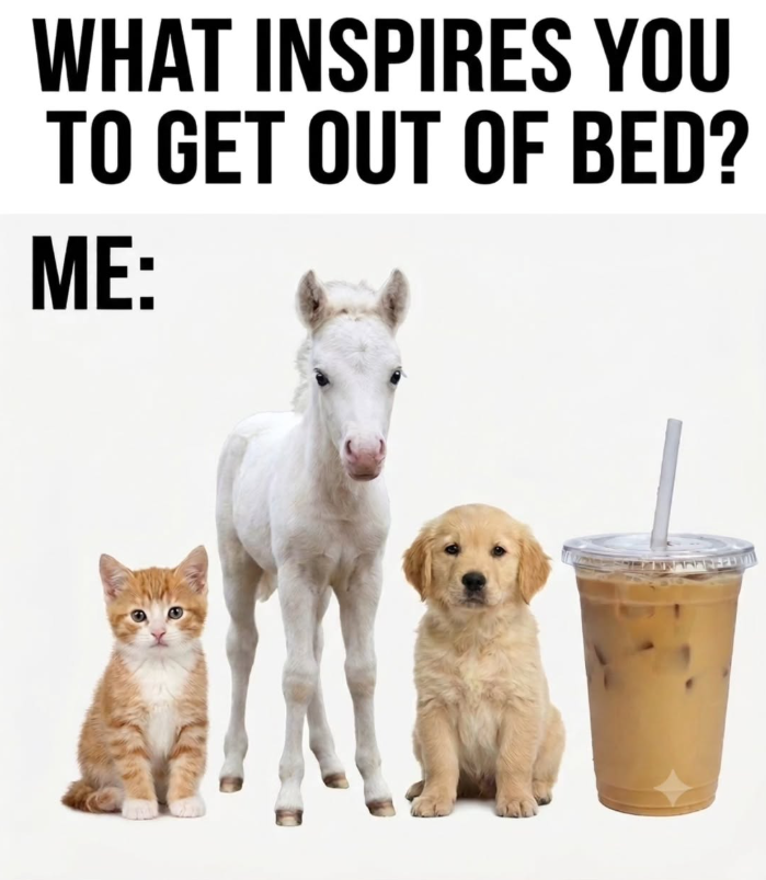 WHAT INSPIRES YOU TO GET OUT OF BED? ME: