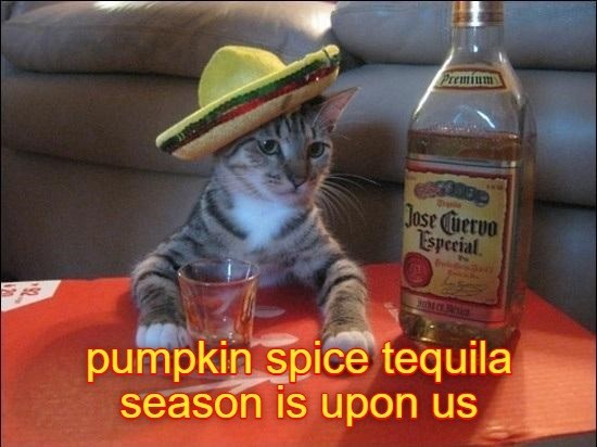 Premium Jose Cuervo Especial pumpkin spice tequila season is upon us