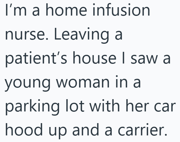 I'm a home infusion nurse. Leaving a patient's house I saw a young woman in a parking lot with her car hood up and a carrier.