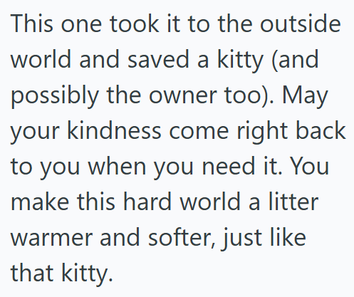 This one took it to the outside world and saved a kitty (and possibly the owner too). May your kindness come right back to you when you need it. You make this hard world a litter warmer and softer, just like that kitty.