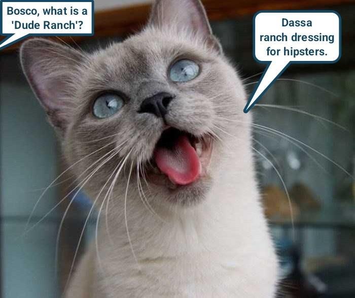 Bosco, what is a 'Dude Ranch'? Dassa ranch dressing for hipsters.