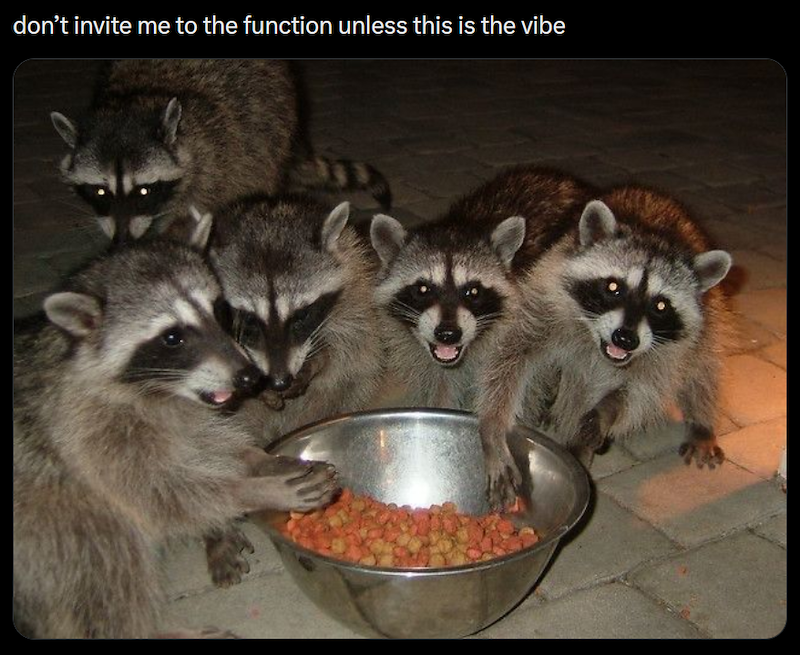 don't invite me to the function unless this is the vibe