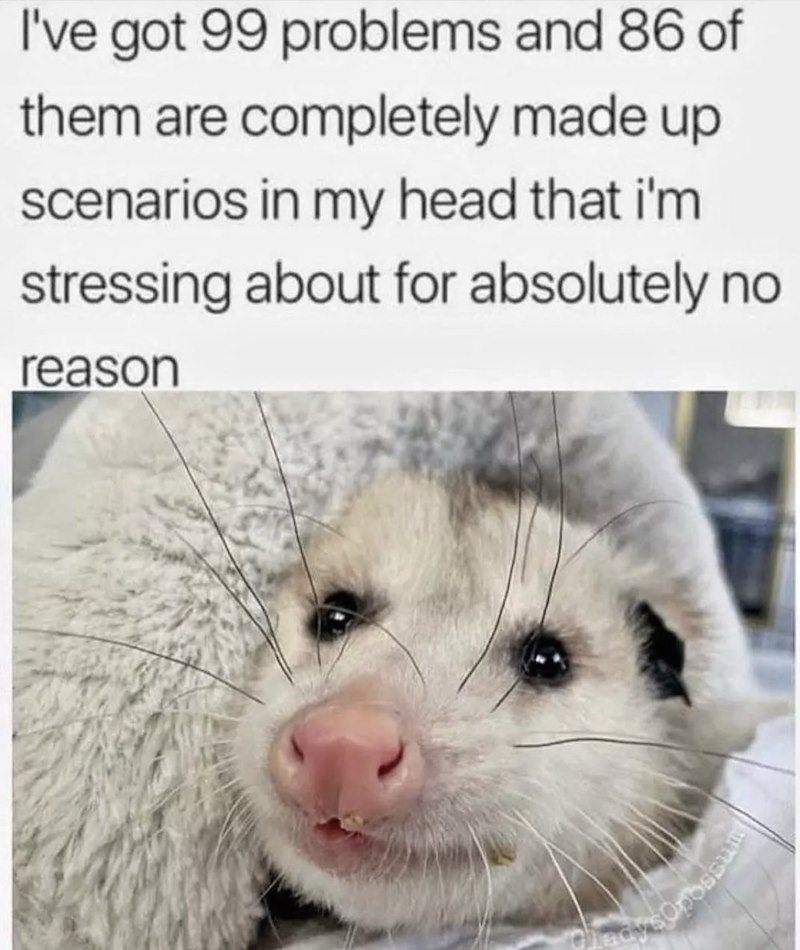 I've got 99 problems and 86 of them are completely made up scenarios in my head that i'm stressing about for absolutely no reason