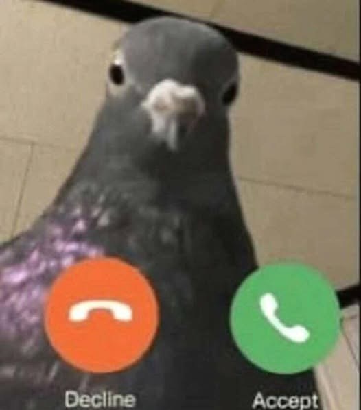 , Decline Accept