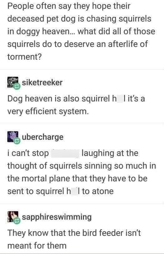 People often say they hope their deceased pet dog is chasing squirrels in doggy heaven... what did all of those squirrels do to deserve an afterlife of torment? siketreeker Dog heaven is also squirrel h l it's a very efficient system. ubercharge i can't stop laughing at the thought of squirrels sinning so much in the mortal plane that they have to be sent to squirrel h I to atone sapphireswimming They know that the bird feeder isn't meant for them