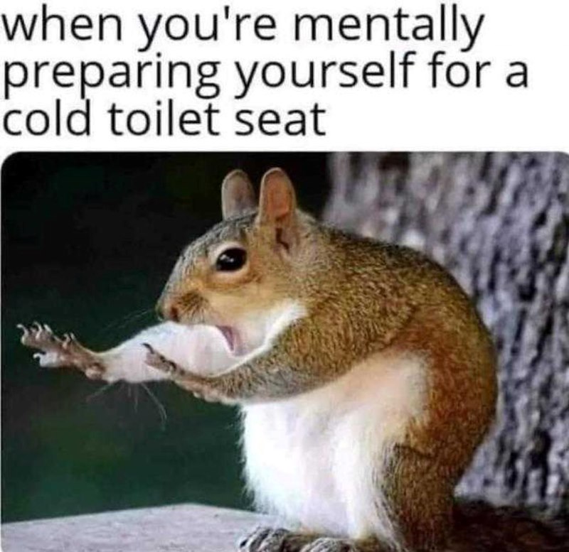 when you're mentally preparing yourself for a cold toilet seat