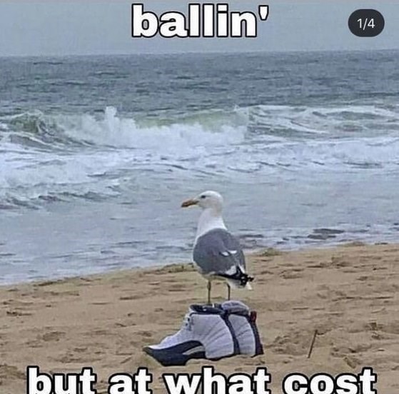 ballin' 1/4 but at what cost