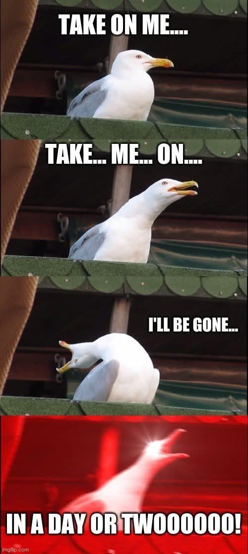 TAKE ON ME.... TAKE... ME... ON.... I'LL BE GONE... IN A DAY OR TW000000! imgflip.com