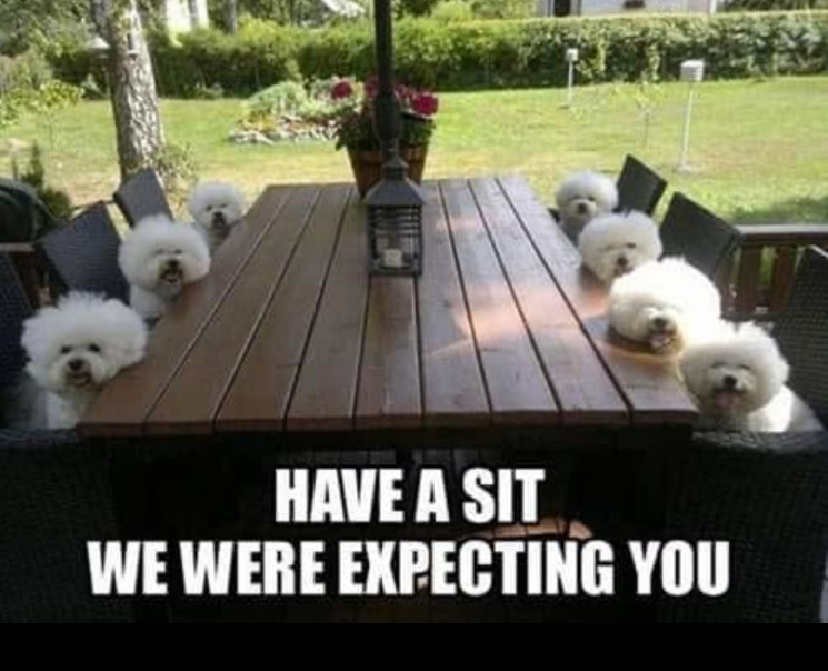 HAVE A SIT WE WERE EXPECTING YOU