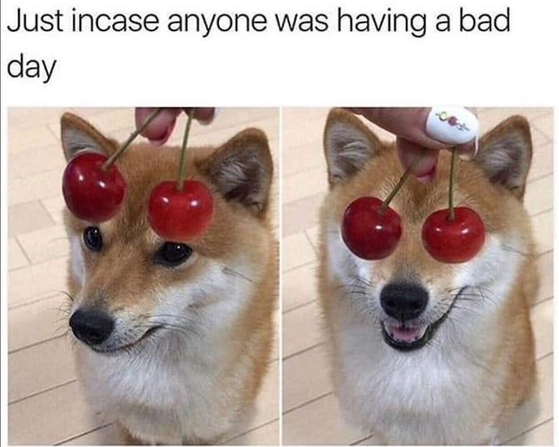 Just incase anyone was having a bad day