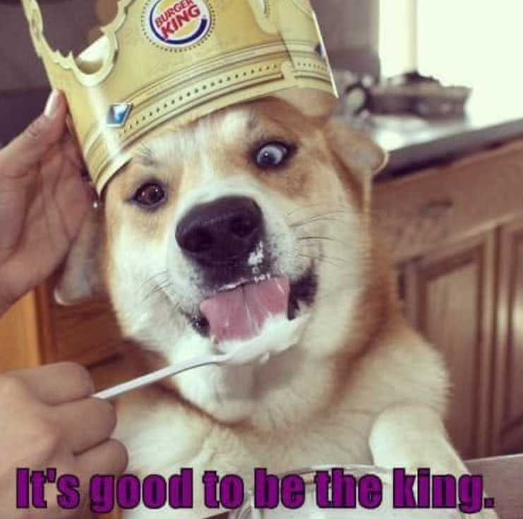BURGE KING It's good to be the king.