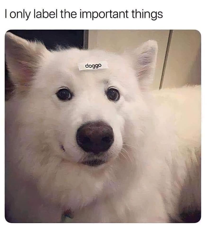 I only label the important things doggo