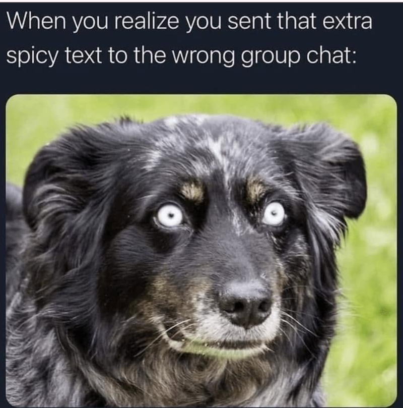 When you realize you sent that extra spicy text to the wrong group chat: