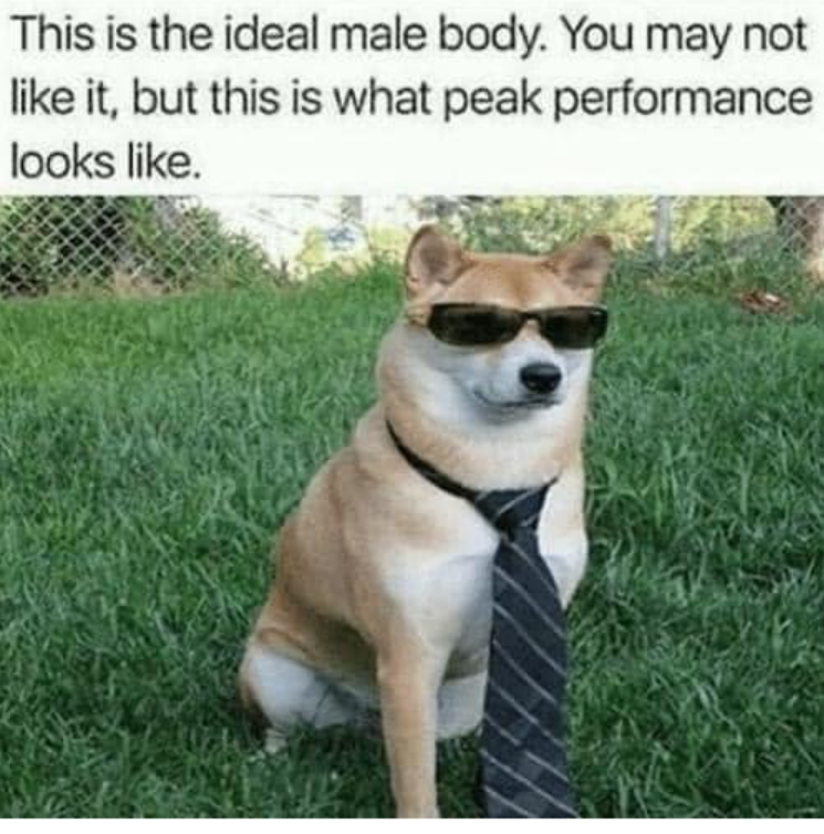 This is the ideal male body. You may not like it, but this is what peak performance looks like.