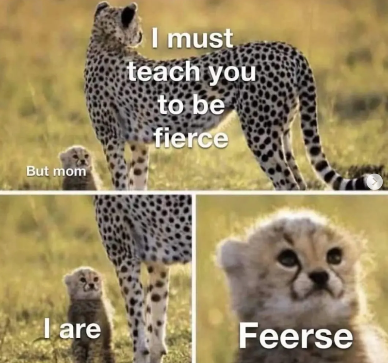 But mom I must teach you to be fierce I are Feerse