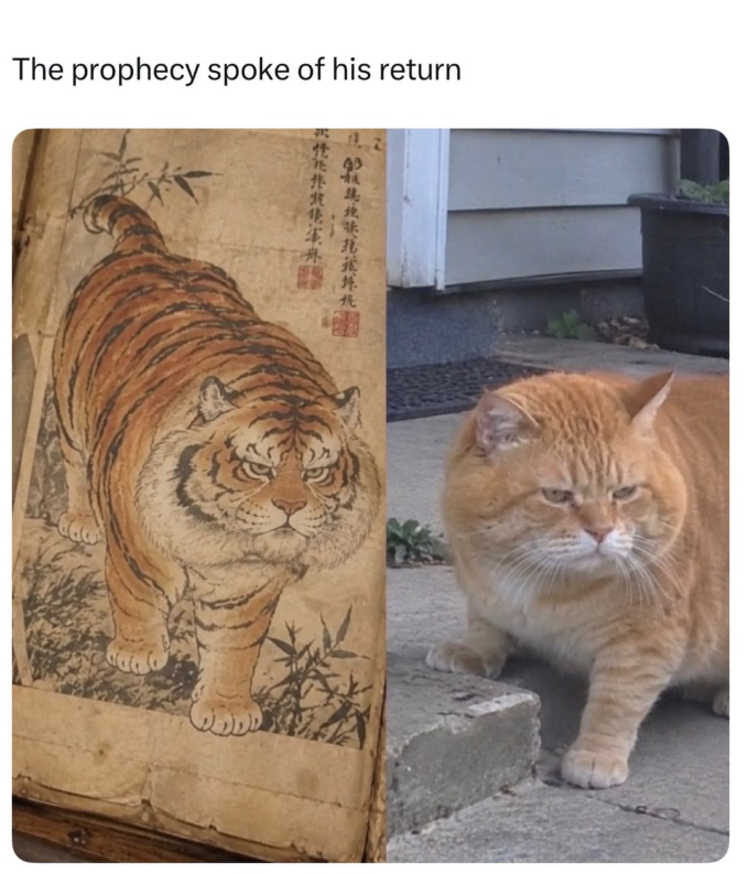 The prophecy spoke of his return 端