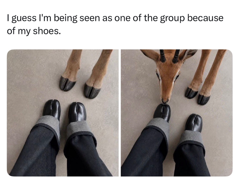 I guess I'm being seen as one of the group because of my shoes.