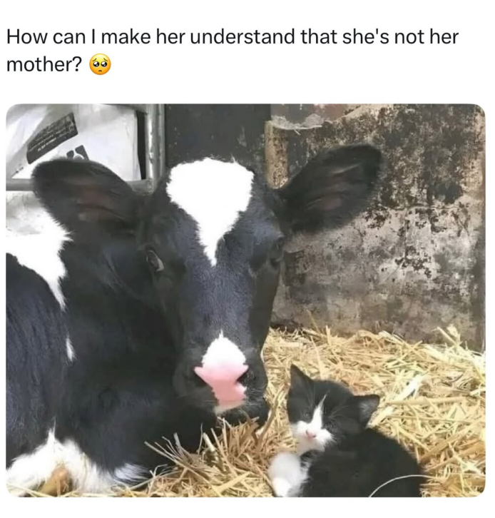 How can I make her understand that she's not her mother?