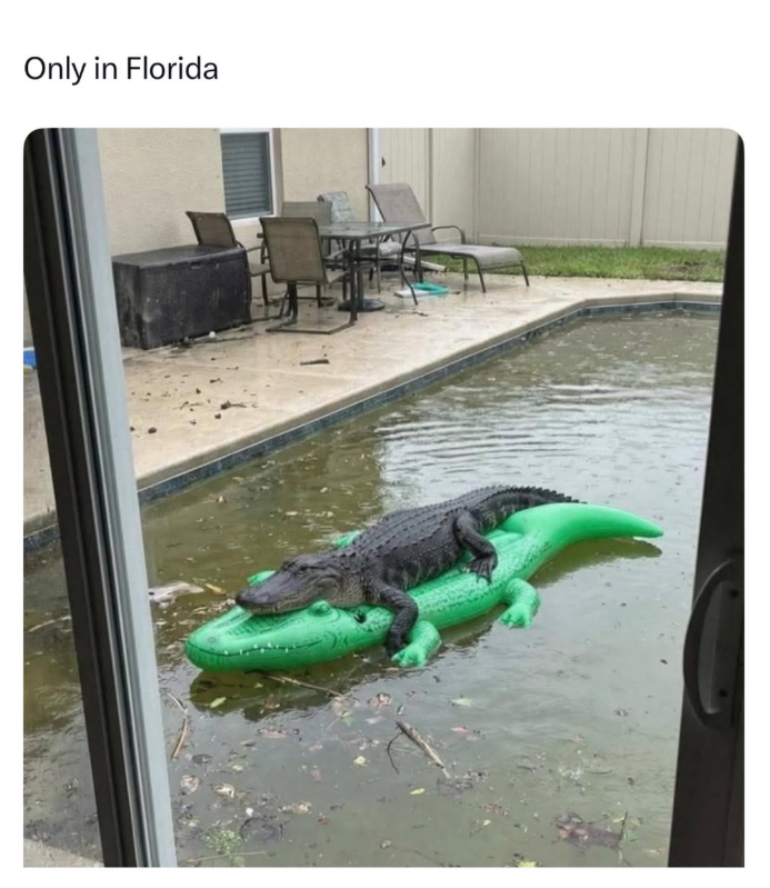Only in Florida