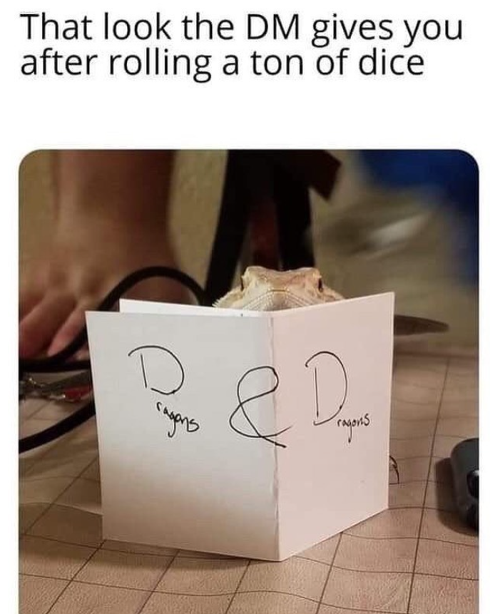 That look the DM gives you after rolling a ton of dice Д B&D ragens ragons