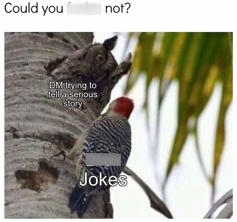 Could you not? DM trying to tell a serious story Jokes