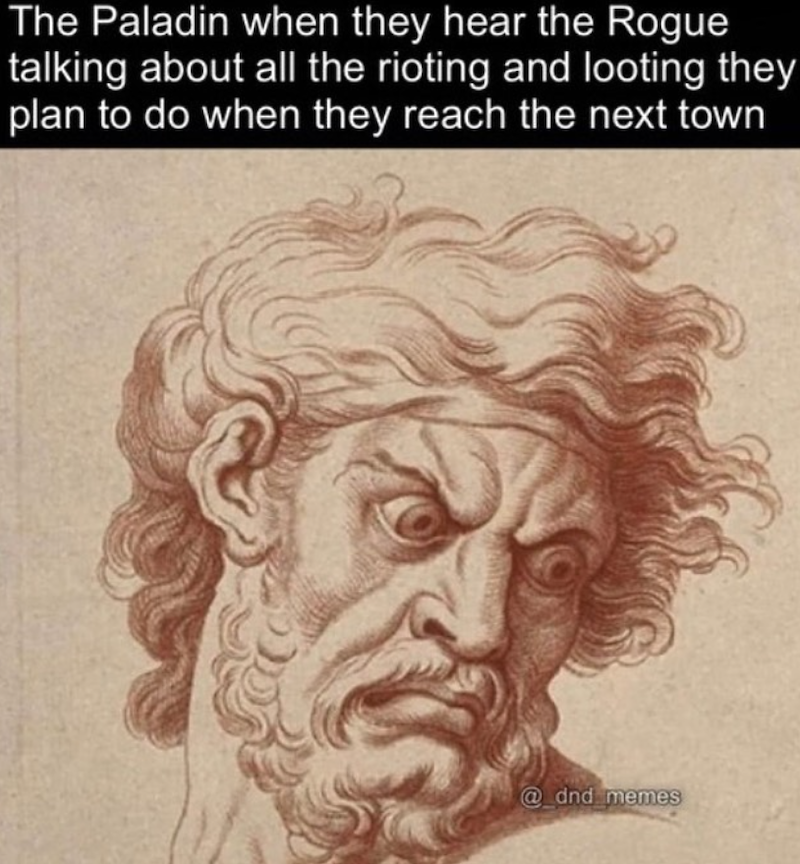 The Paladin when they hear the Rogue talking about all the rioting and looting they plan to do when they reach the next town @_dnd_memes