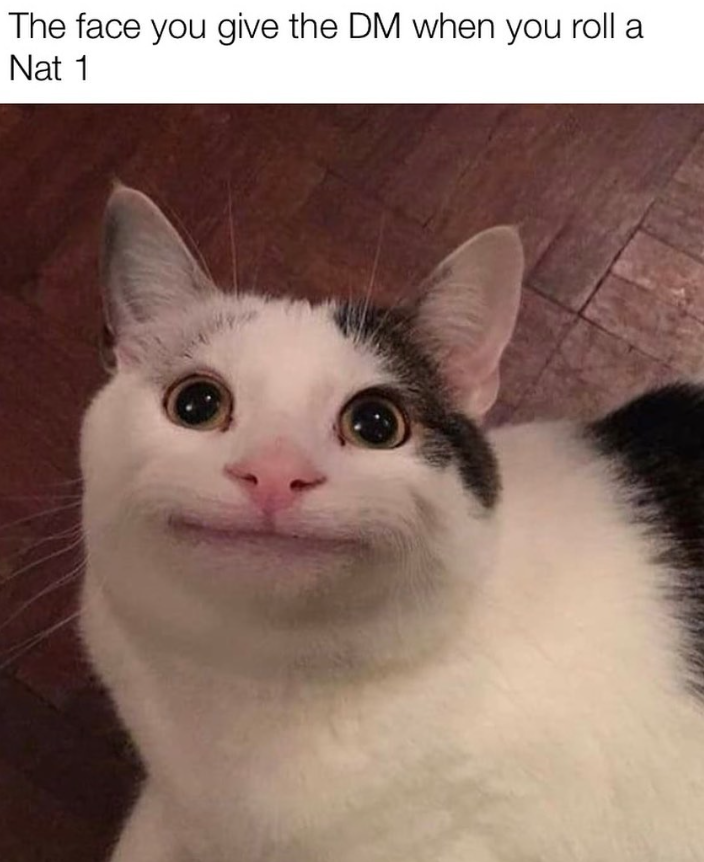The face you give the DM when you roll a Nat 1