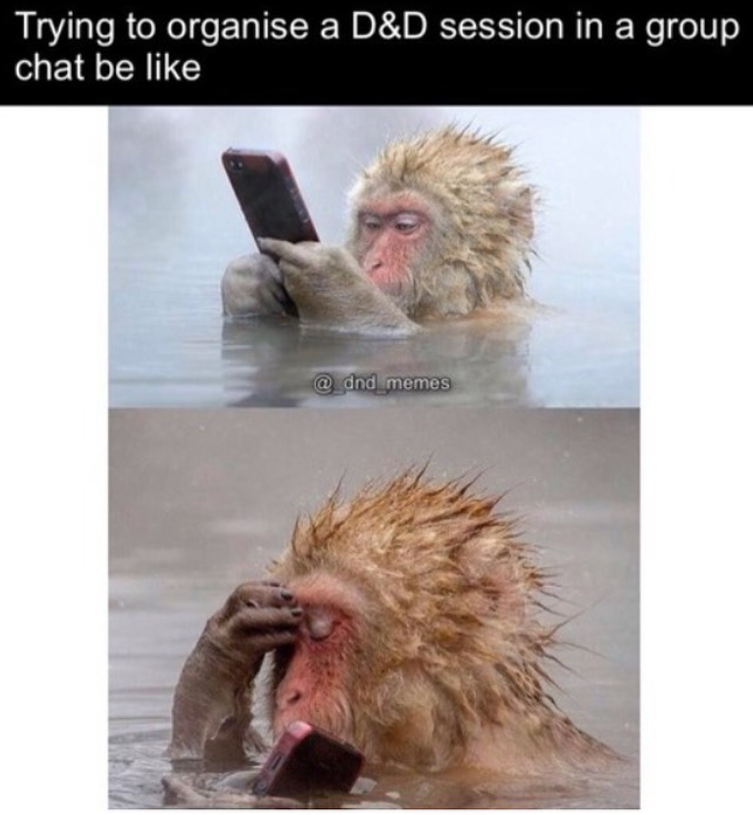 Trying to organise a D&D session in a group chat be like @dnd memes