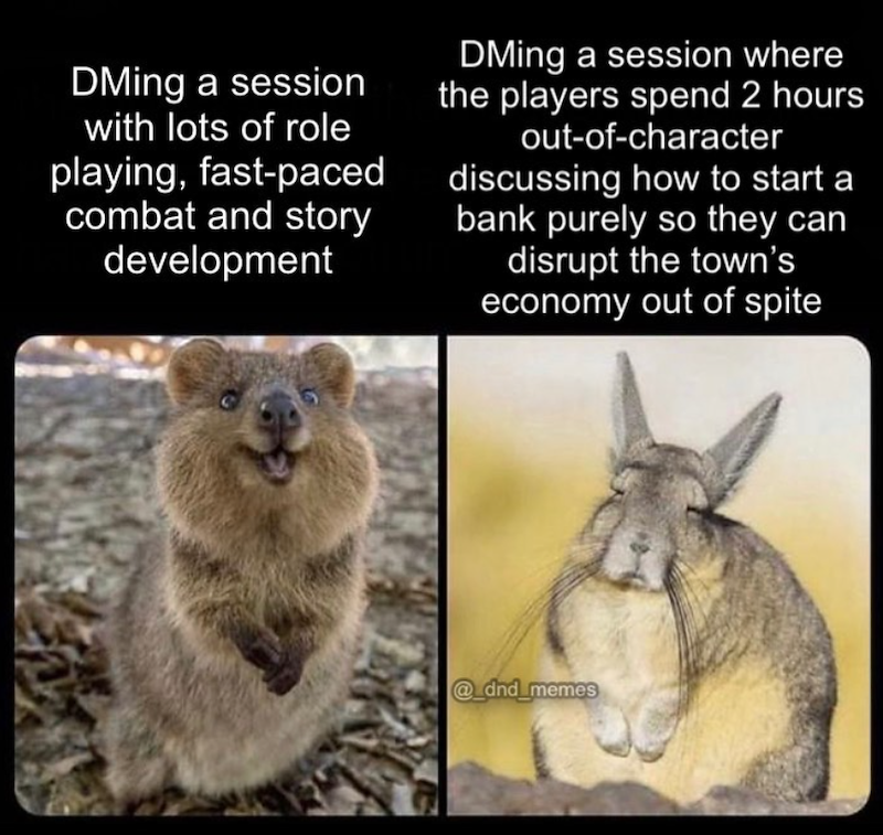 DMing a session with lots of role playing, fast-paced combat and story development DMing a session where the players spend 2 hours out-of-character discussing how to start a bank purely so they can disrupt the town's economy out of spite @_dnd_memes