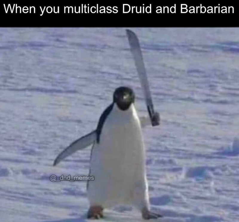 When you multiclass Druid and Barbarian @_dnd_memes