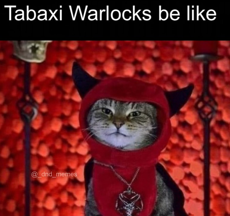 Tabaxi Warlocks be like @_dnd_memes