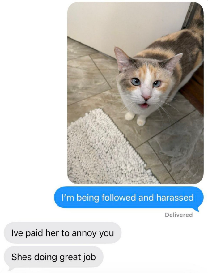 I'm being followed and harassed Ive paid her to annoy you Shes doing great job Delivered