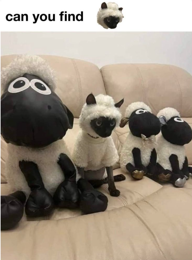 can you find g