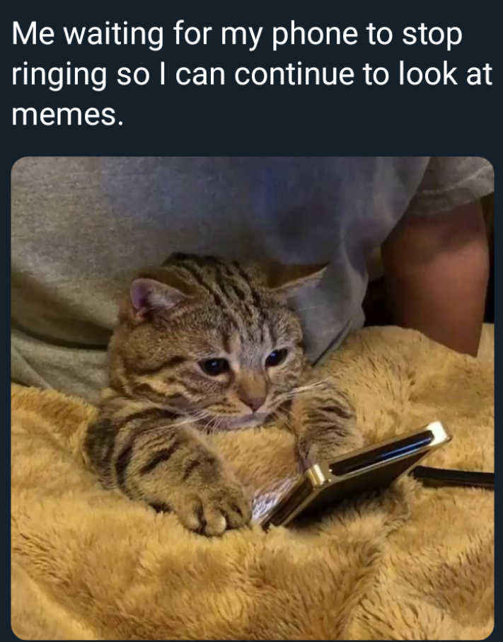 Me waiting for my phone to stop ringing so I can continue to look at memes.