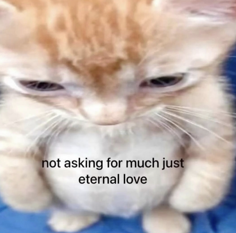 not asking for much just eternal love
