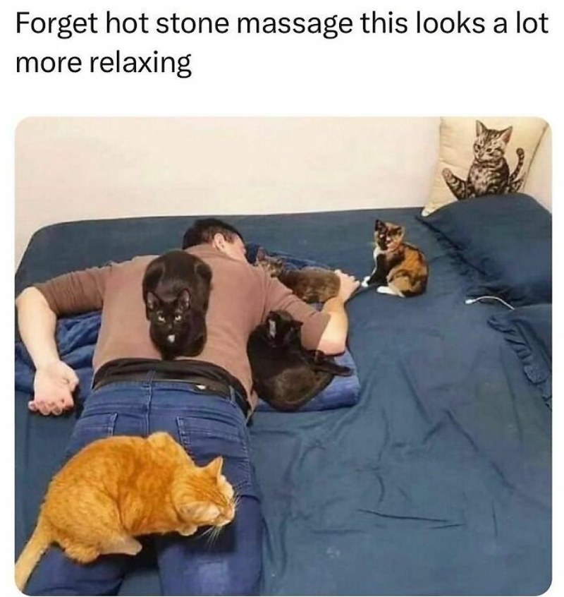 Forget hot stone massage this looks a lot more relaxing