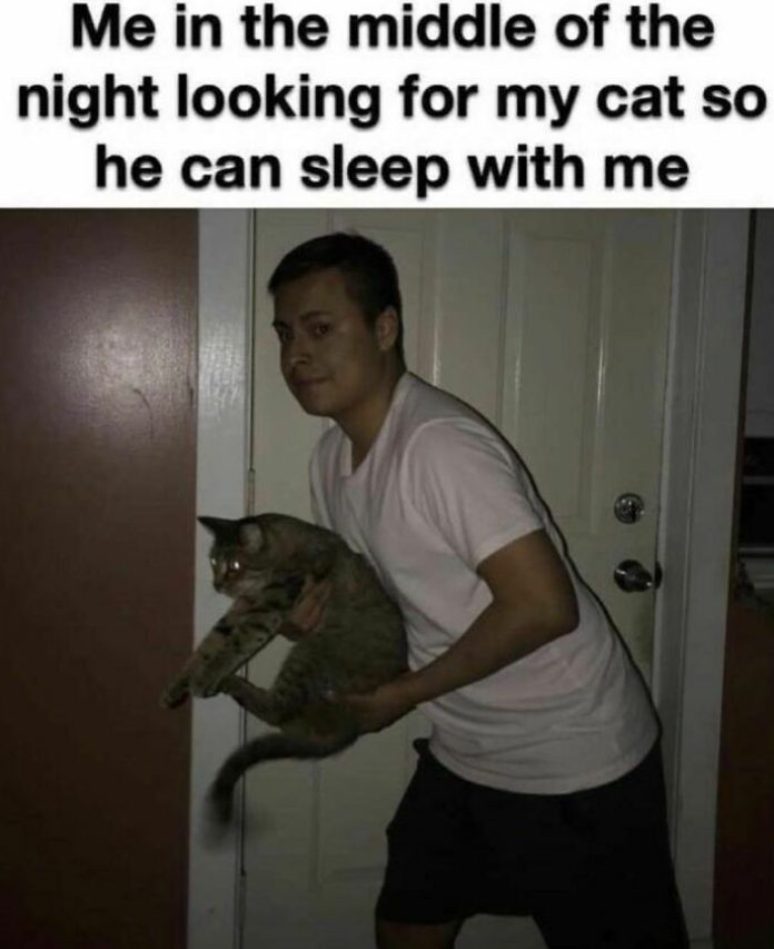 Me in the middle of the night looking for my cat so he can sleep with me