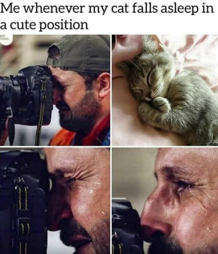 Me whenever my cat falls asleep in a cute position