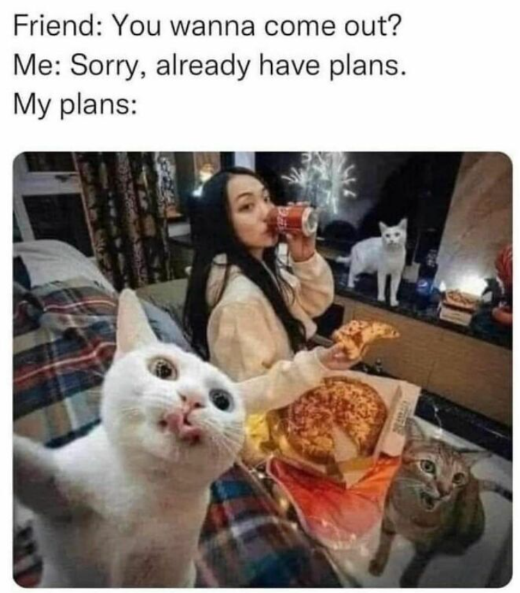 Friend: You wanna come out? Me: Sorry, already have plans. My plans: