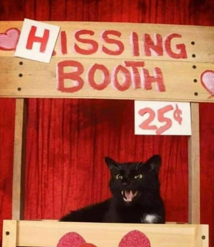 HASSING: BOOTH C 25¢