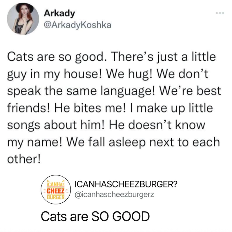 Arkady @ArkadyKoshka Cats are so good. There's just a little guy in my house! We hug! We don't speak the same language! We're best friends! He bites me! I make up little songs about him! He doesn't know my name! We fall asleep next to each other! CANHAS CHEEZ BURGER ICANHASCHEEZBURGER? @icanhascheezburgerz Cats are SO GOOD