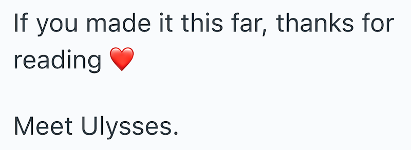 If you made it this far, thanks for reading Meet Ulysses.