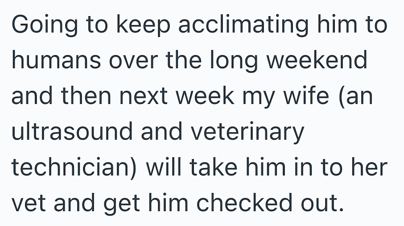Going to keep acclimating him to humans over the long weekend and then next week my wife (an ultrasound and veterinary technician) will take him in to her vet and get him checked out.