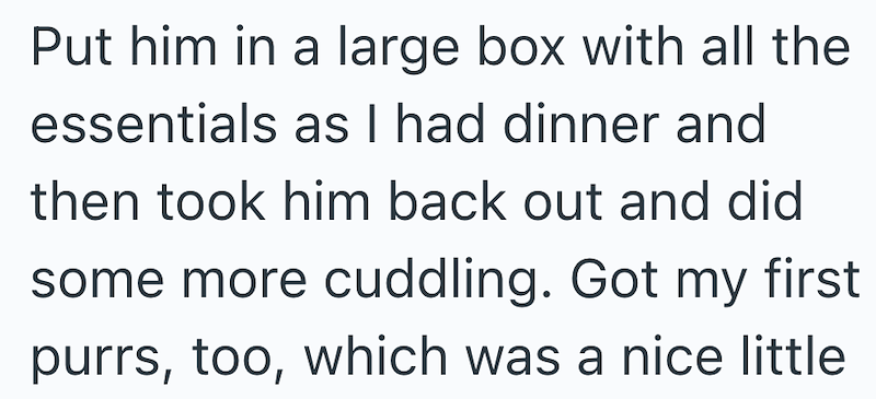 Put him in a large box with all the essentials as I had dinner and then took him back out and did some more cuddling. Got my first purrs, too, which was a nice little