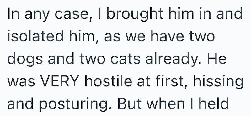 In any case, I brought him in and isolated him, as we have two dogs and two cats already. He was VERY hostile at first, hissing and posturing. But when I held
