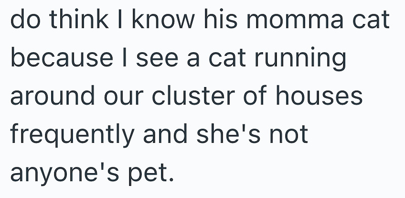 do think I know his momma cat because I see a cat running around our cluster of houses frequently and she's not anyone's pet.