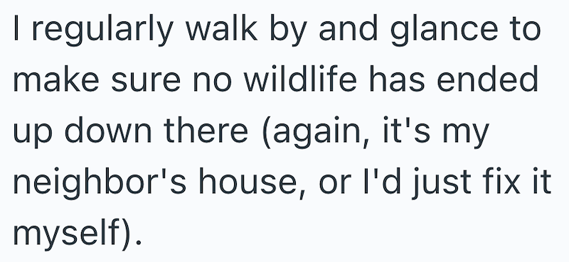 I regularly walk by and glance to make sure no wildlife has ended up down there (again, it's my neighbor's house, or I'd just fix it myself).